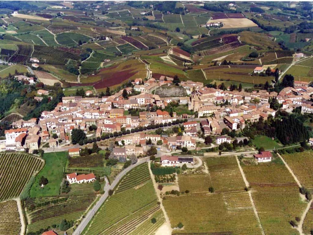Belvedere