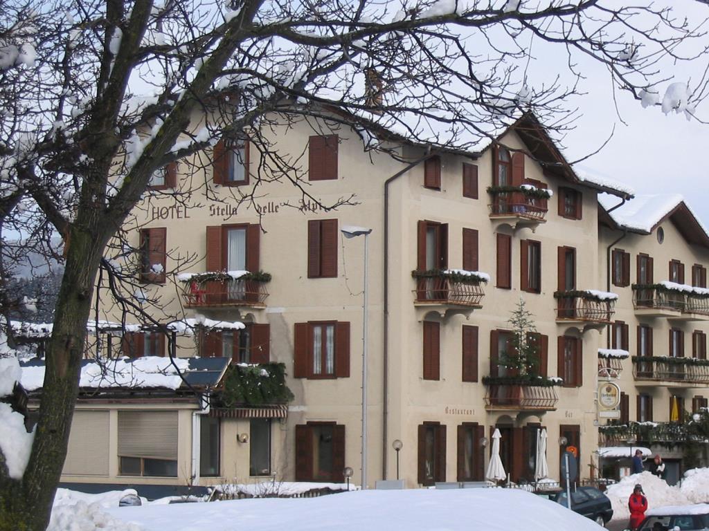 Stella delle Alpi