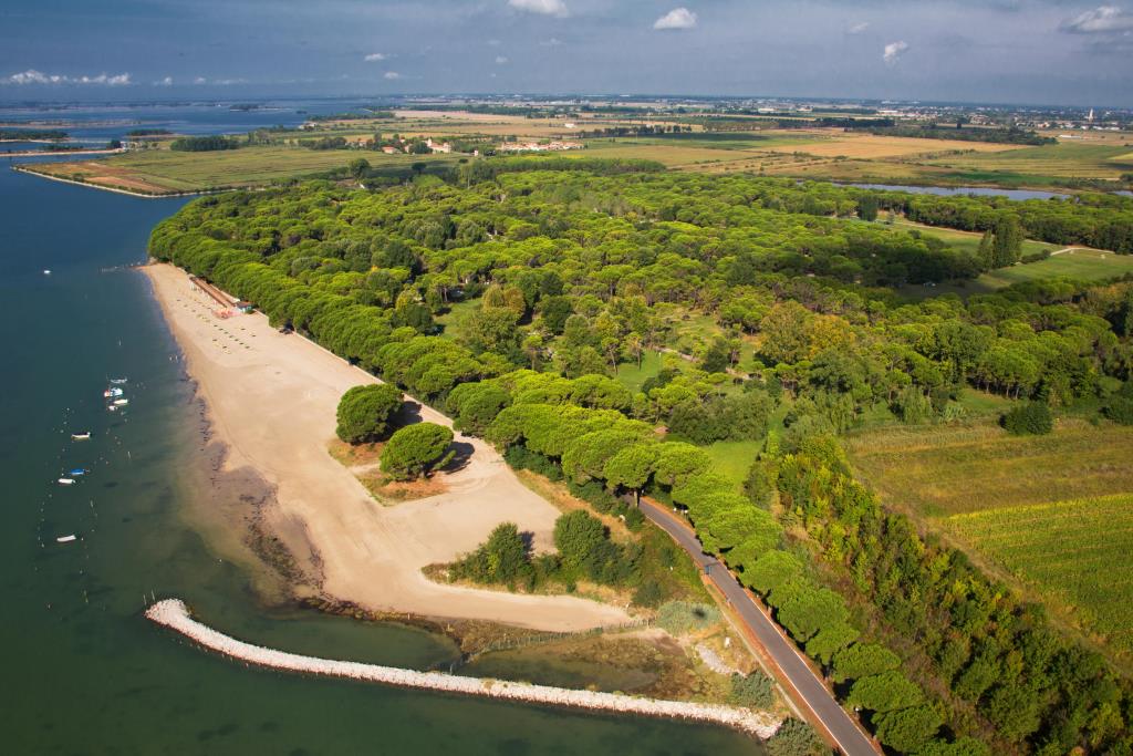 Belvedere Pineta